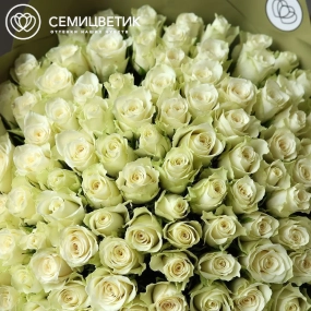 Букет из 101 белой розы 35-40 см (Кения) в оливковой пленке