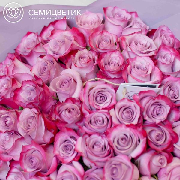 Букет из 51 сиреневой с фиолетовой каймой розы Deep purple 50 см (Эквадор)