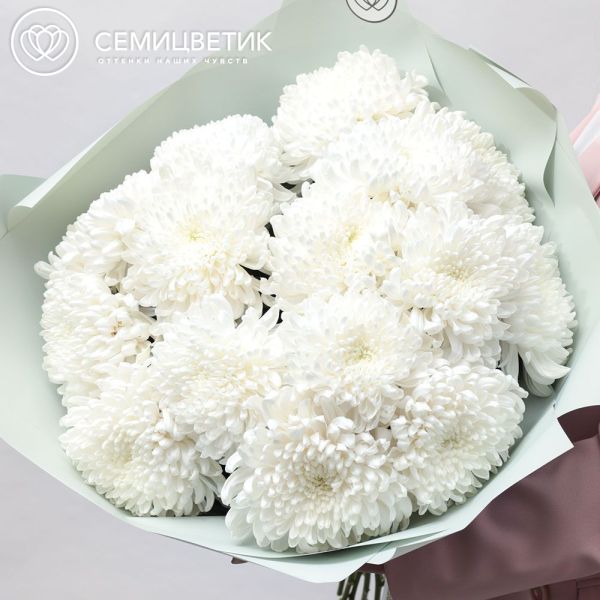 Букет из 15 одноголовых белых хризантем