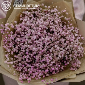 Букет из 7 розовых гипсофил в кремовой пленке