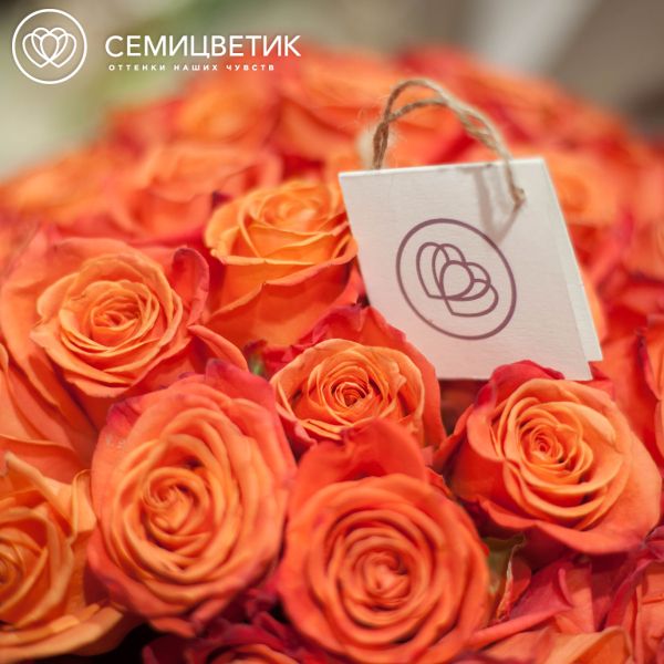 Букет из 51 оранжевой розы Orange Crush 50 см (Эквадор)