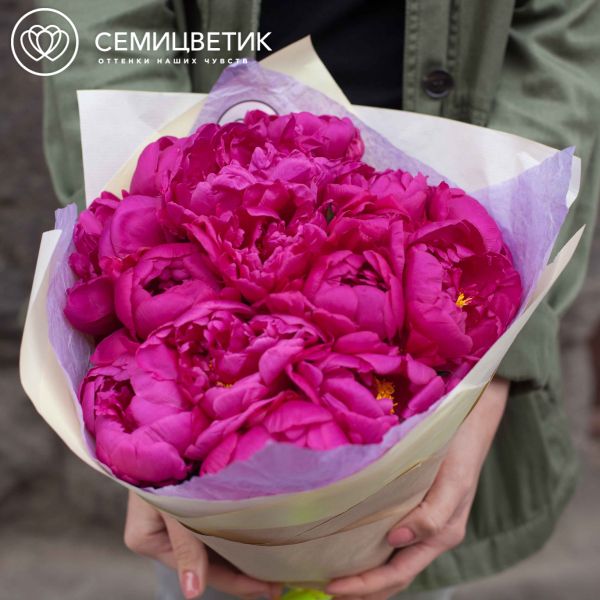 Букет из 15 малиновых пионов Standart Plus