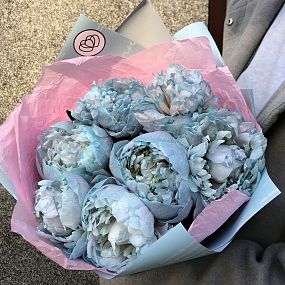 Букет из 7 голубых пионов Premium