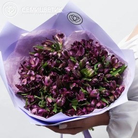 Букет из 25 альстромерий в фиолетовых тонах в сиреневой пленке