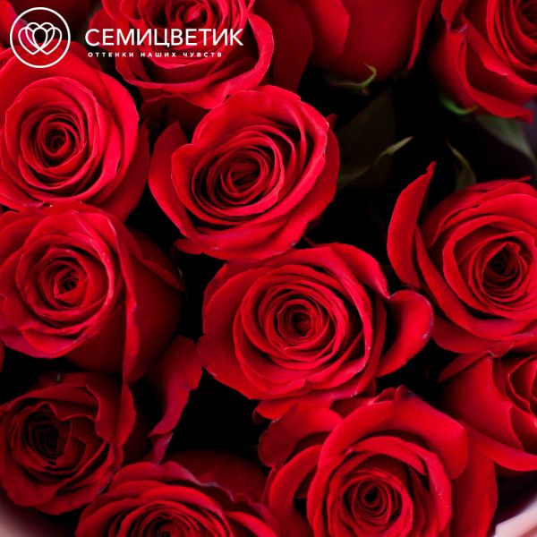 Букет из 15 красных роз Freedom 70 см (Эквадор)