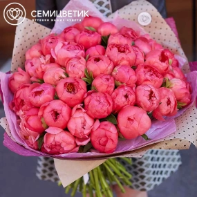 Букет из 51 кораллового пиона Coral Sunset Premium в упаковке