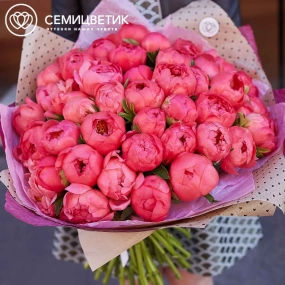 Букет из 51 кораллового пиона Coral Sunset Premium в упаковке