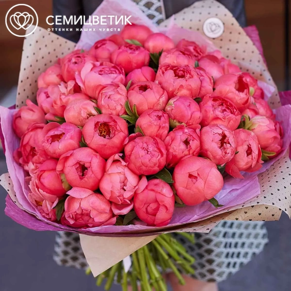 Букет из 51 кораллового пиона Coral Sunset Premium в упаковке