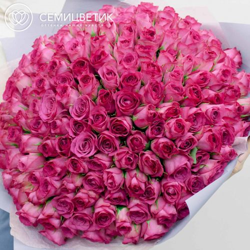 Букет из 151 розовой розы (Кения) 40 см Standart