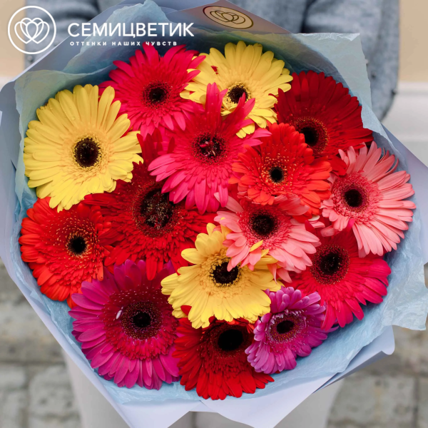 Букет из 15 гербер микс в голубой пленке