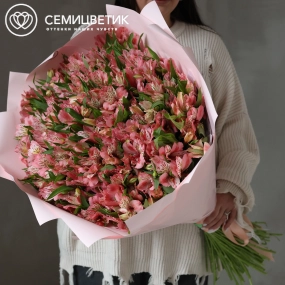 Букет из 101 розовой альстромерии в розовой упаковке