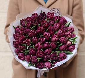 Букет из 51 фиолетового пионовидного тюльпана в прозрачной упаковке