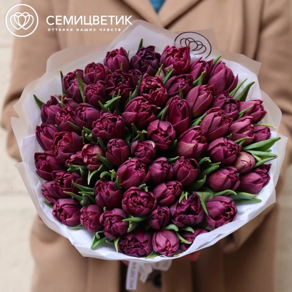 Букет из 51 фиолетового пионовидного тюльпана в прозрачной упаковке