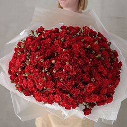 Букет из 101 красной кустовой розы 40-50 см (Россия)