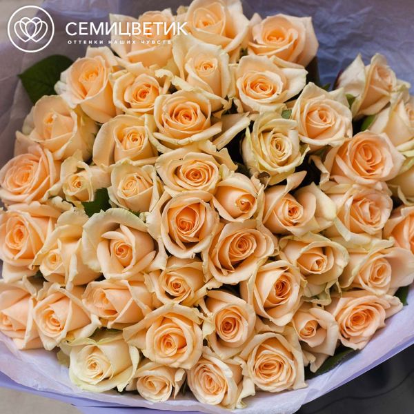 Букет из 45 кремовых роз 35-40 см (Россия)