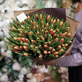 Букет из 101 желто-красного тюльпана 40 см