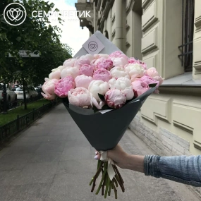 Букет из 25 белых и розовых пионов Premium в белой пленке