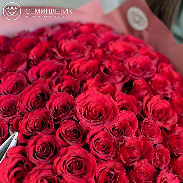 101 красная роза Premium (Кения) в натуральной сетке ZL