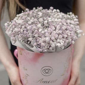 Монобукет  в розовой шляпной коробке Amour Mini из сиреневой гипсофилы