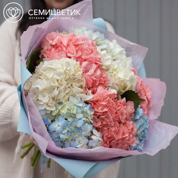 Букет из 9 гортензий нежный микс