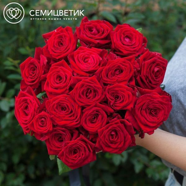 Траурный букет из 22 красных роз 50 см (Россия)