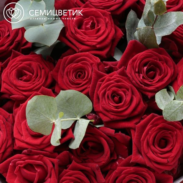 Букет из 25 красных роз 50 см (Россия) с эвкалиптом