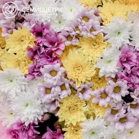 Букет из 15 кустовых хризантем микс в розовой пленке