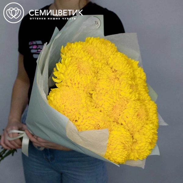 Букет из 15 одноголовых желтых хризантем в зеленой пленке