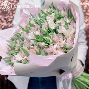 Букет из 51 альстромерии в розовых тонах в кремовой пленке