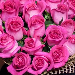 Букет из 21 розовой розы Topaz 50 см (Эквадор)
