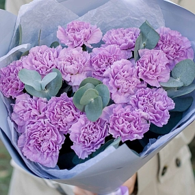 Букет из 15 сиреневых (лунных) гвоздик с эвкалиптом в голубой пленке