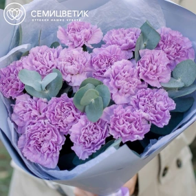 Букет из 15 сиреневых (лунных) гвоздик с эвкалиптом в голубой пленке