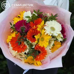 Букет из 25 гербер с фисташкой в розовой пленке