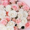 Букет из 15 белых и розовых кустовых роз микс (Эквадор) 40 см