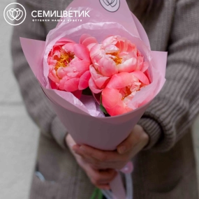 Букет из 3 коралловых пионов Coral Sunset Premium в розовой пленке