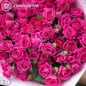 Букет из 21 малиновой кустовой розы 40 см (Кения) в розовой пленке