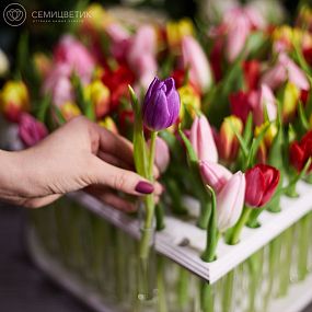 Композиция Сердце из 101 тюльпана микс в пробирках