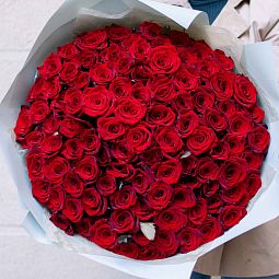 Букет из 101 красной с темной каймой розы Магия 50 см (Россия) 
