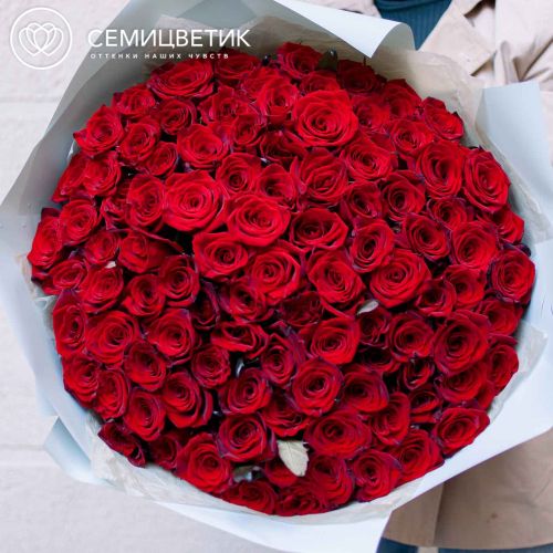 Букет из 101 красной с темной каймой розы (Россия) 50 см