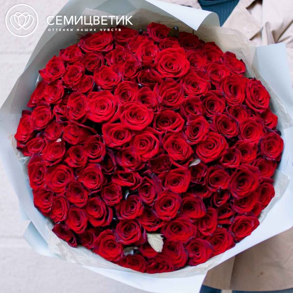 Букет из 101 красной с темной каймой розы Магия 50 см (Россия) 