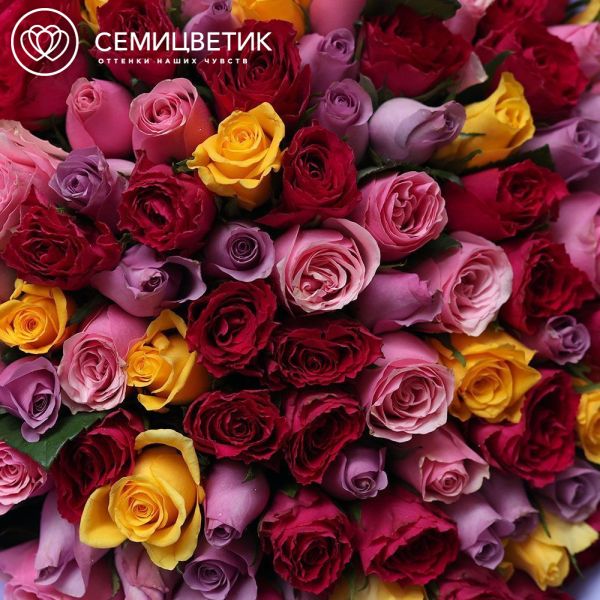 Букет из 101 розы 35 см микс (Кения) в сиреневой упаковке