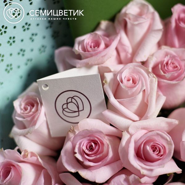 Букет из 25 розовых роз Jessika 50 см (Эквадор) в зеленой пленке