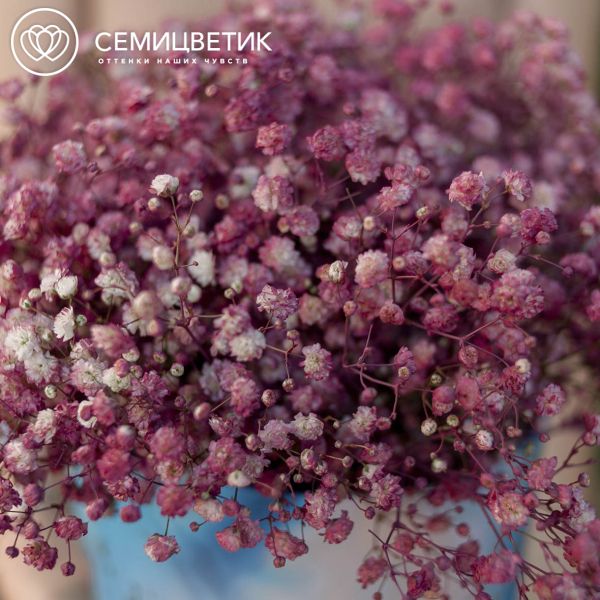 Букет в голубой шляпной коробке Amour Mini из 9 малиновых гипсофил