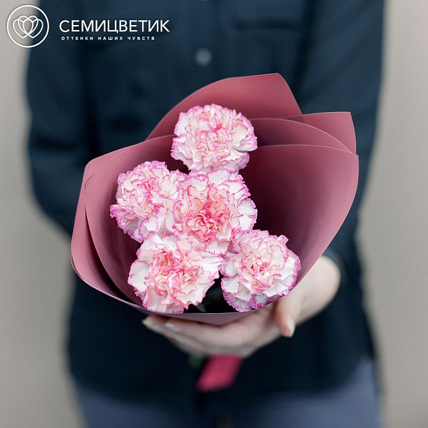 Букет из 5 белых с розовой каймой гвоздик