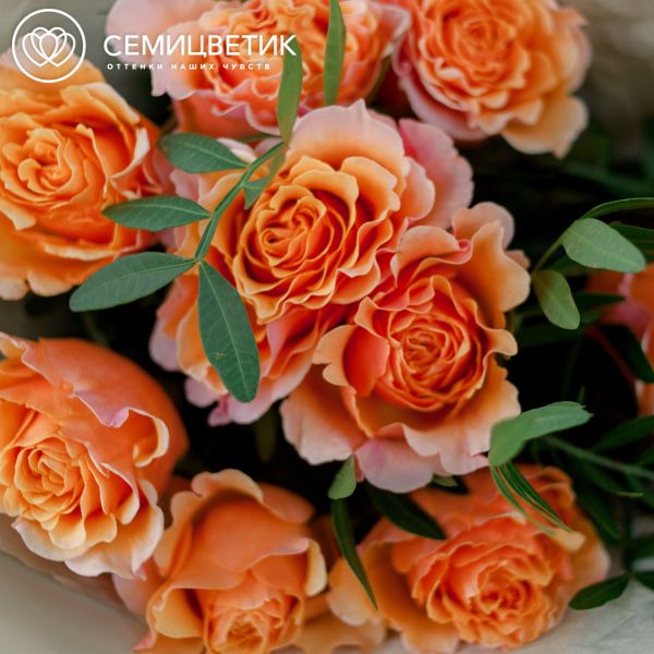 Букет из 9 персиковых пионовидных роз Mayra's Peach 40 см с фисташкой