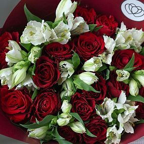 Свадебный букет  из 15 красных роз (Кения) и 7 белых альстромерий в бордовой пленке