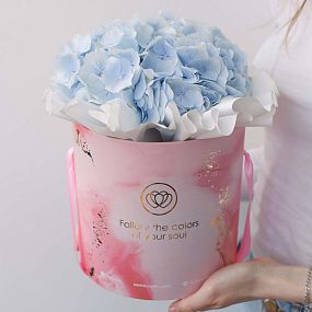Букет в розовой шляпной коробке Amour Mini из 3 голубых гортензий