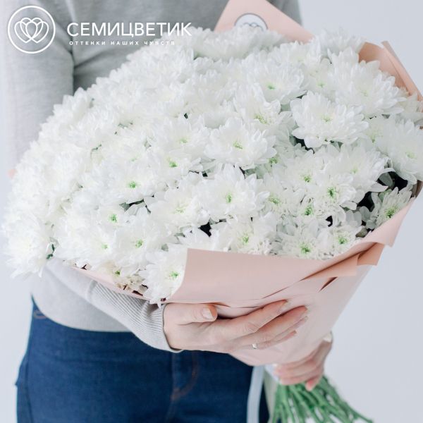 Букет из 25 белых кустовых хризантем в кремовой пленке