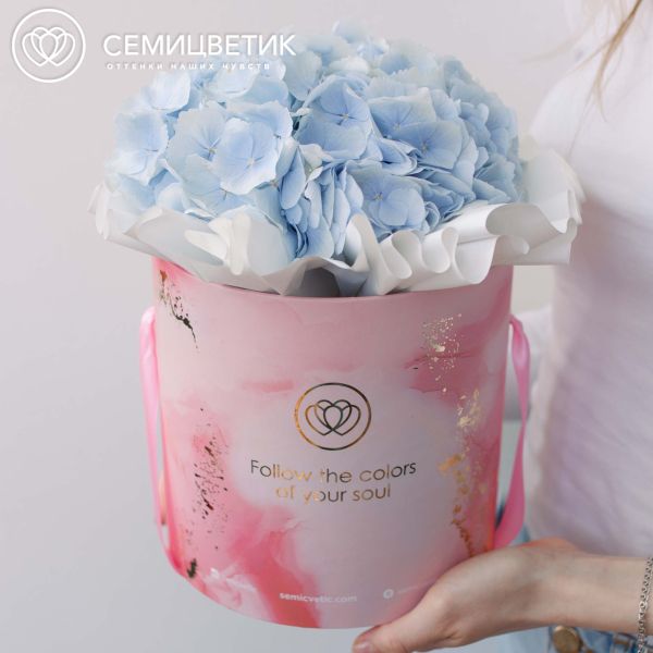 Букет в розовой шляпной коробке Amour Mini из 3 голубых гортензий