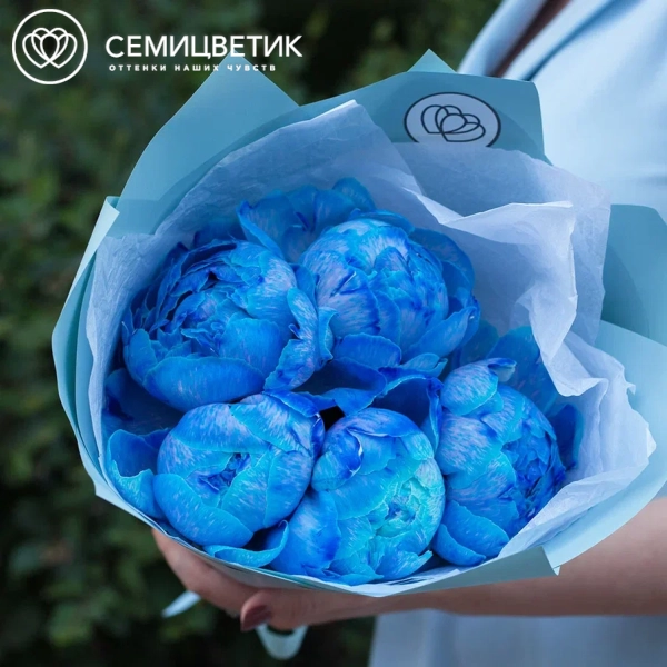 Букет из 5 синих пионов Premium